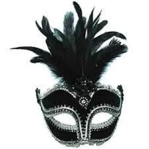 Black Velvet Masquerade Mask