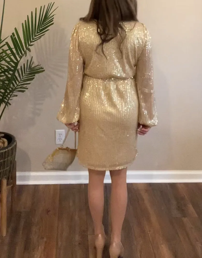 Bradshaw Sequin Dress