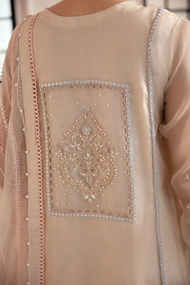Embellished Pakistani Salwar Kameez Ladies Party Dress