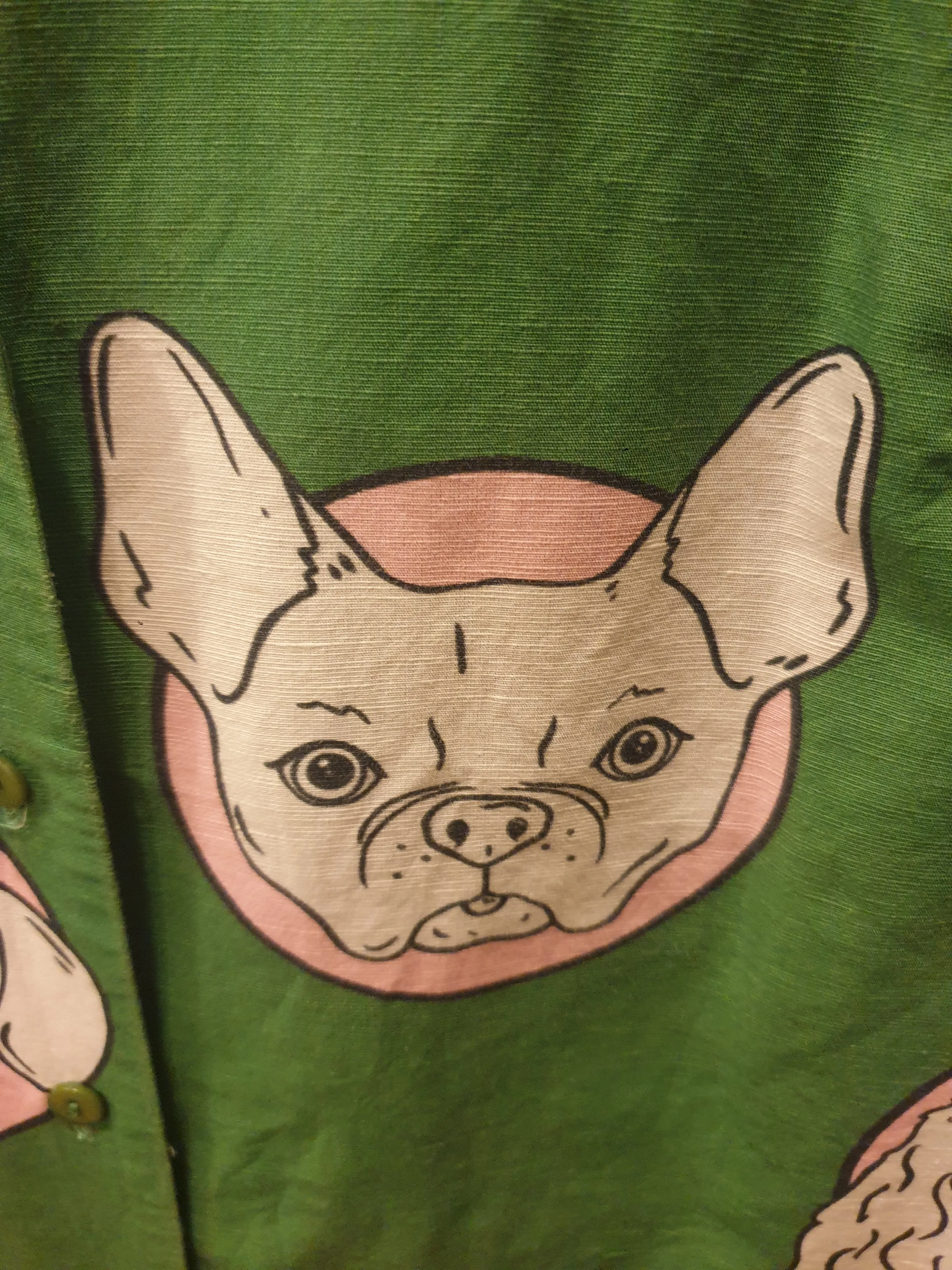 Jericho Road green dog print dress size 10