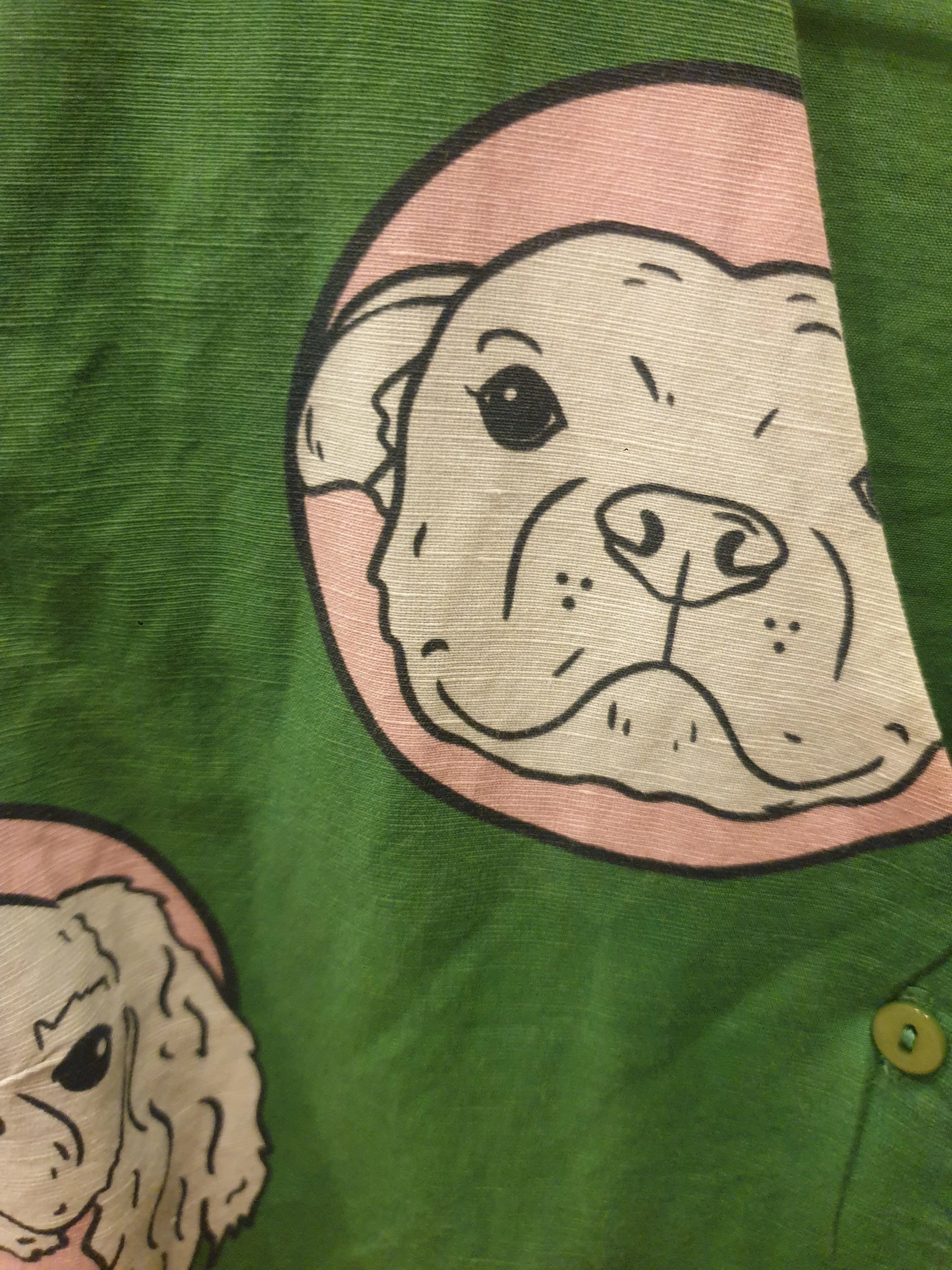 Jericho Road green dog print dress size 10
