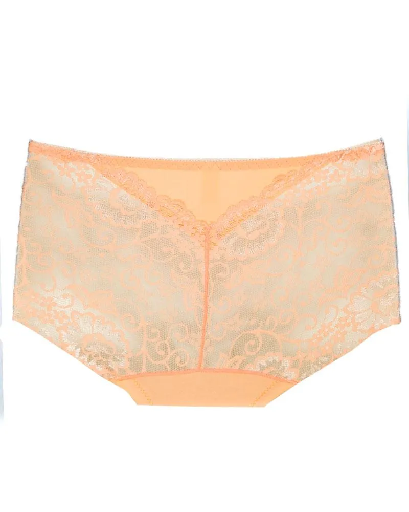 Pack of 5 - Embroidered Cotton Net Panty For Women