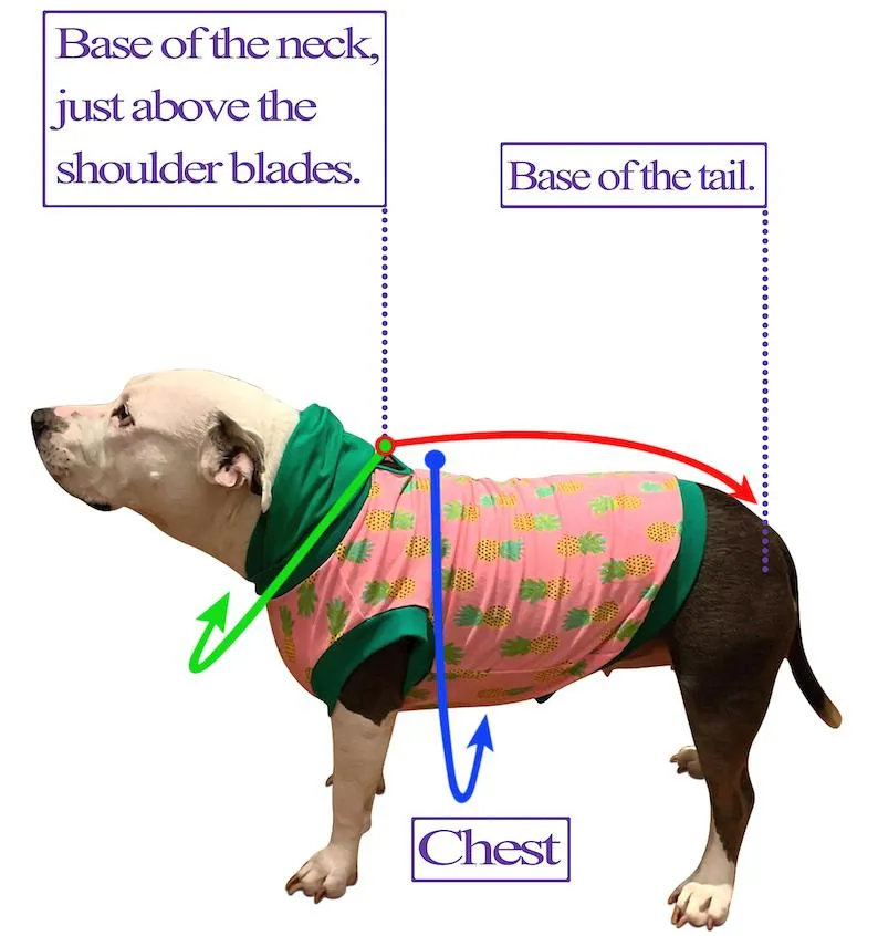 Sparkle Irish Dog Vest