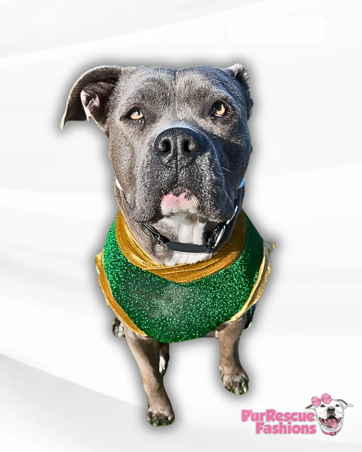 Sparkle Irish Dog Vest