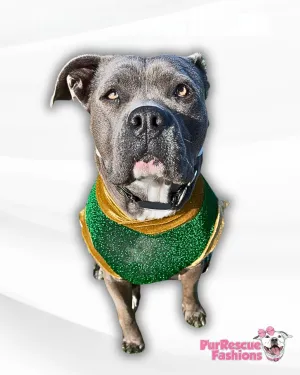 Sparkle Irish Dog Vest